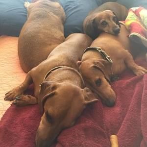 Meet your Posher, Michele